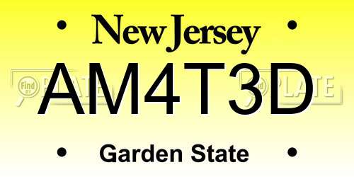 AM4T3D New Jersey License Plate
