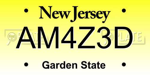 AM4Z3D New Jersey License Plate