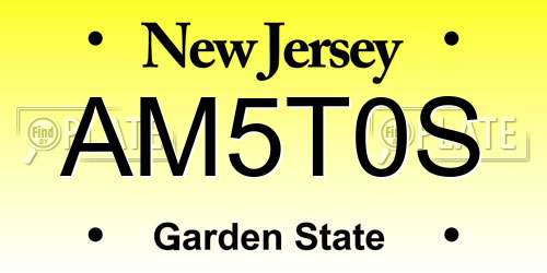 AM5T0S New Jersey License Plate