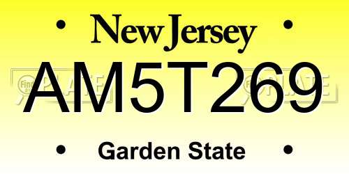 AM5T269 New Jersey License Plate