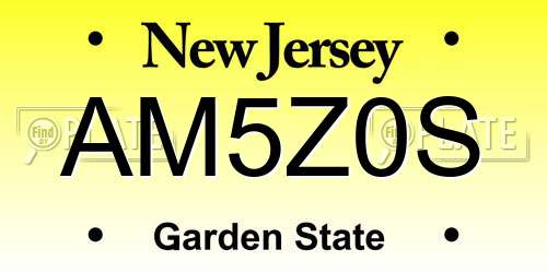 AM5Z0S New Jersey License Plate