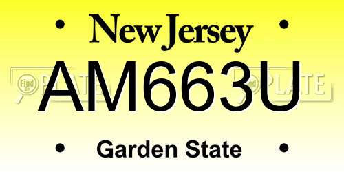 AM663U New Jersey License Plate
