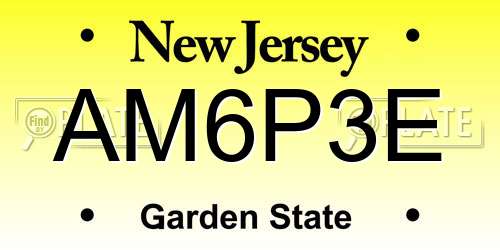 AM6P3E New Jersey License Plate