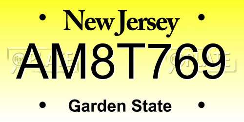 AM8T769 New Jersey License Plate