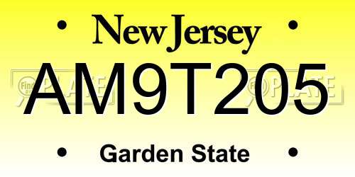AM9T205 New Jersey License Plate