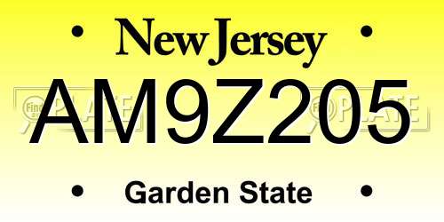 AM9Z205 New Jersey License Plate