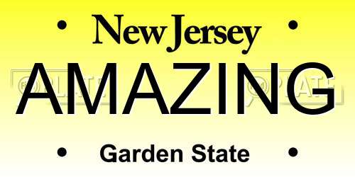 AMAZING New Jersey License Plate