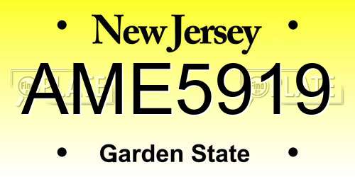 AME5919 New Jersey License Plate