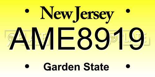 AME8919 New Jersey License Plate