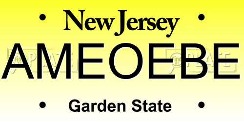 AMEOEBE New Jersey License Plate