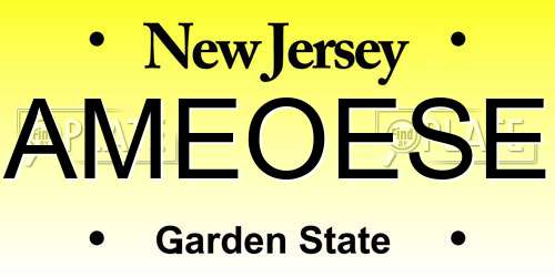 AMEOESE New Jersey License Plate