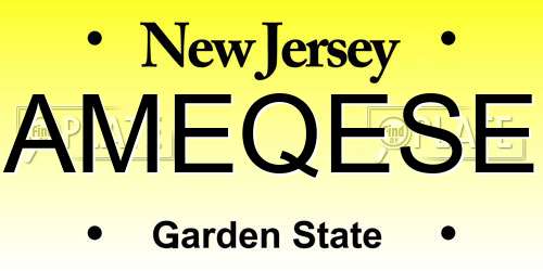 AMEQESE New Jersey License Plate