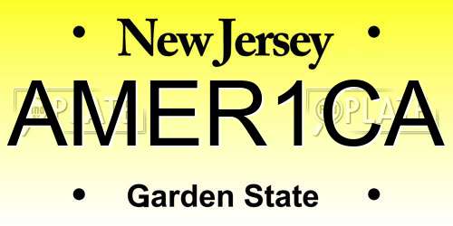 AMER1CA New Jersey License Plate