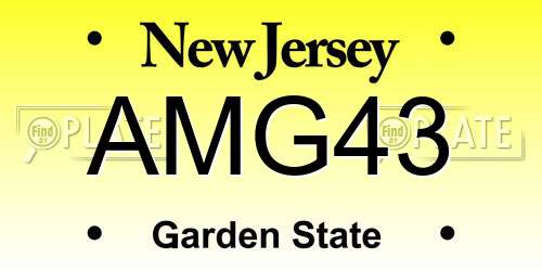 AMG43 New Jersey License Plate
