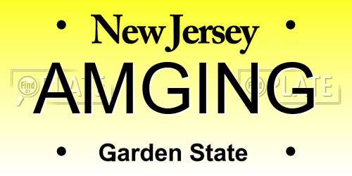 AMGING New Jersey License Plate