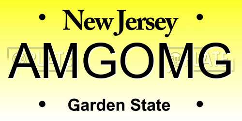 AMGOMG New Jersey License Plate