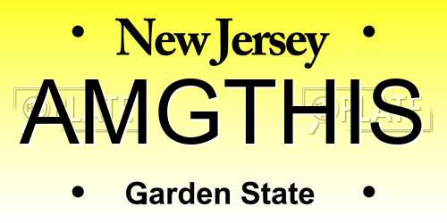 AMGTHIS New Jersey License Plate