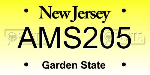 AMS205 New Jersey License Plate