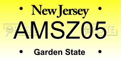 AMSZ05 New Jersey License Plate