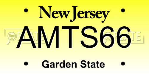 AMTS66 New Jersey License Plate