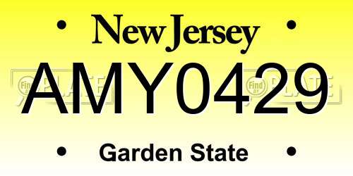 AMY0429 New Jersey License Plate