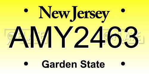 AMY2463 New Jersey License Plate