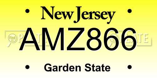 AMZ866 New Jersey License Plate