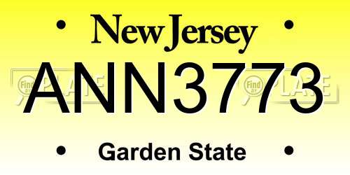 ANN3773 New Jersey License Plate