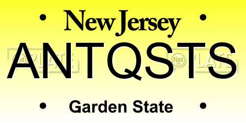 ANTQSTS New Jersey License Plate