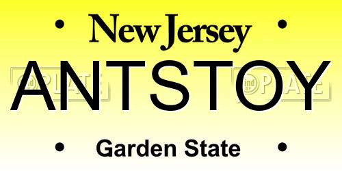 ANTSTOY New Jersey License Plate