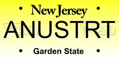 ANUSTRT New Jersey License Plate