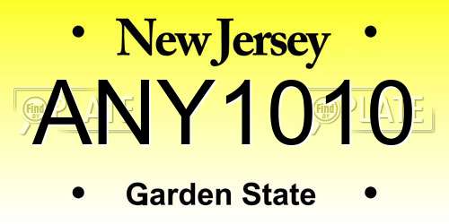 ANY1010 New Jersey License Plate