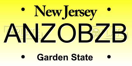 ANZOBZB New Jersey License Plate