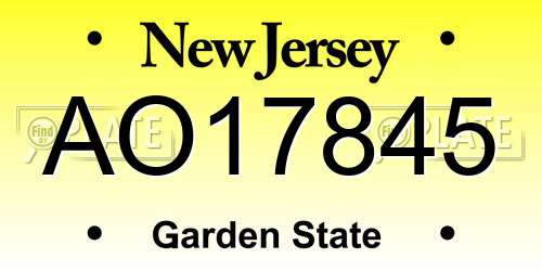 AO17845 New Jersey License Plate