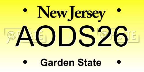 AODS26 New Jersey License Plate