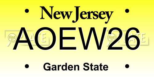 AOEW26 New Jersey License Plate