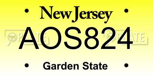 AOS824 New Jersey License Plate