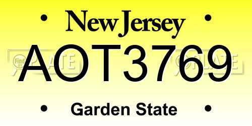 AOT3769 New Jersey License Plate