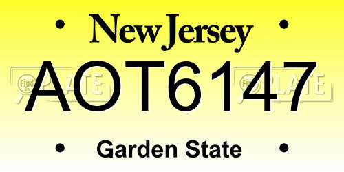 AOT6147 New Jersey License Plate