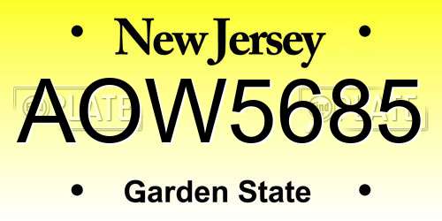 AOW5685 New Jersey License Plate
