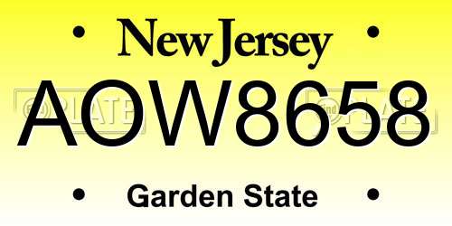 AOW8658 New Jersey License Plate