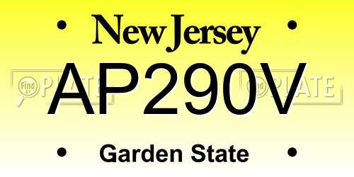 AP290V New Jersey License Plate