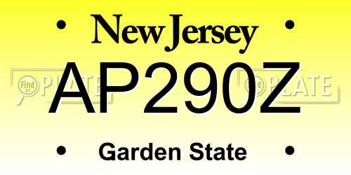 AP290Z New Jersey License Plate
