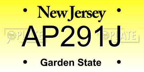 AP291J New Jersey License Plate