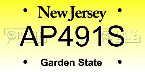 AP491S New Jersey License Plate