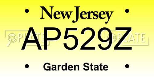AP529Z New Jersey License Plate