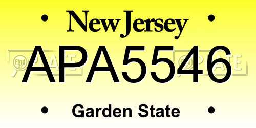 APA5546 New Jersey License Plate