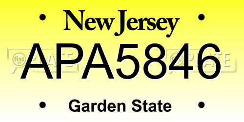 APA5846 New Jersey License Plate