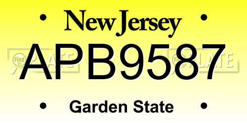 APB9587 New Jersey License Plate