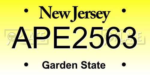 APE2563 New Jersey License Plate